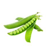 Pea