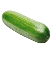 Cucumber