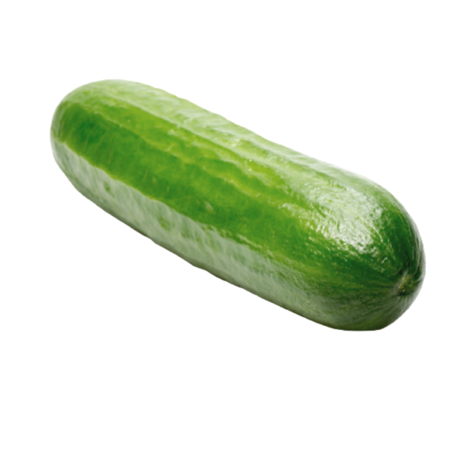 Cucumber