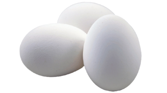 Egg